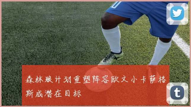 森林狼计划重塑阵容欧文小卡萨格斯成潜在目标