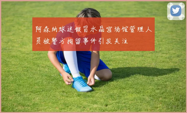 阿森纳球迷假冒水晶宫场馆管理人员被警方拘留事件引发关注
