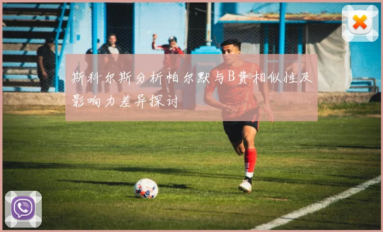 斯科尔斯分析帕尔默与B费相似性及影响力差异探讨
